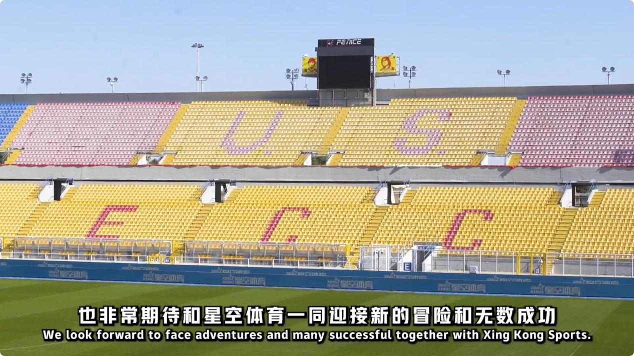 判罚流程 判罚流程